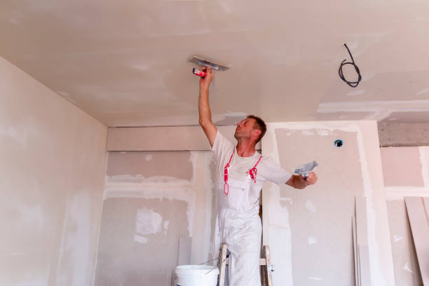 Best Wallpaper Removal and Painting  in , AZ