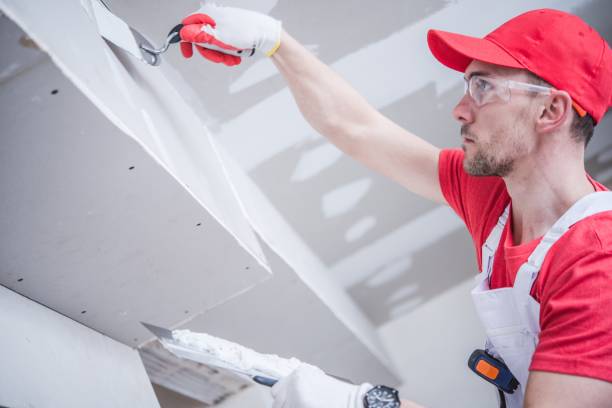 Best Drywall Installation  in , AZ